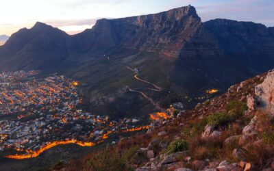 The Apprentice – Week One – Managing Expectations in South Africa